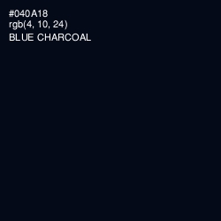 #040A18 - Blue Charcoal Color Image